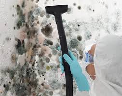 Reliable Falling Waters, WV Mold Remediation Solutions